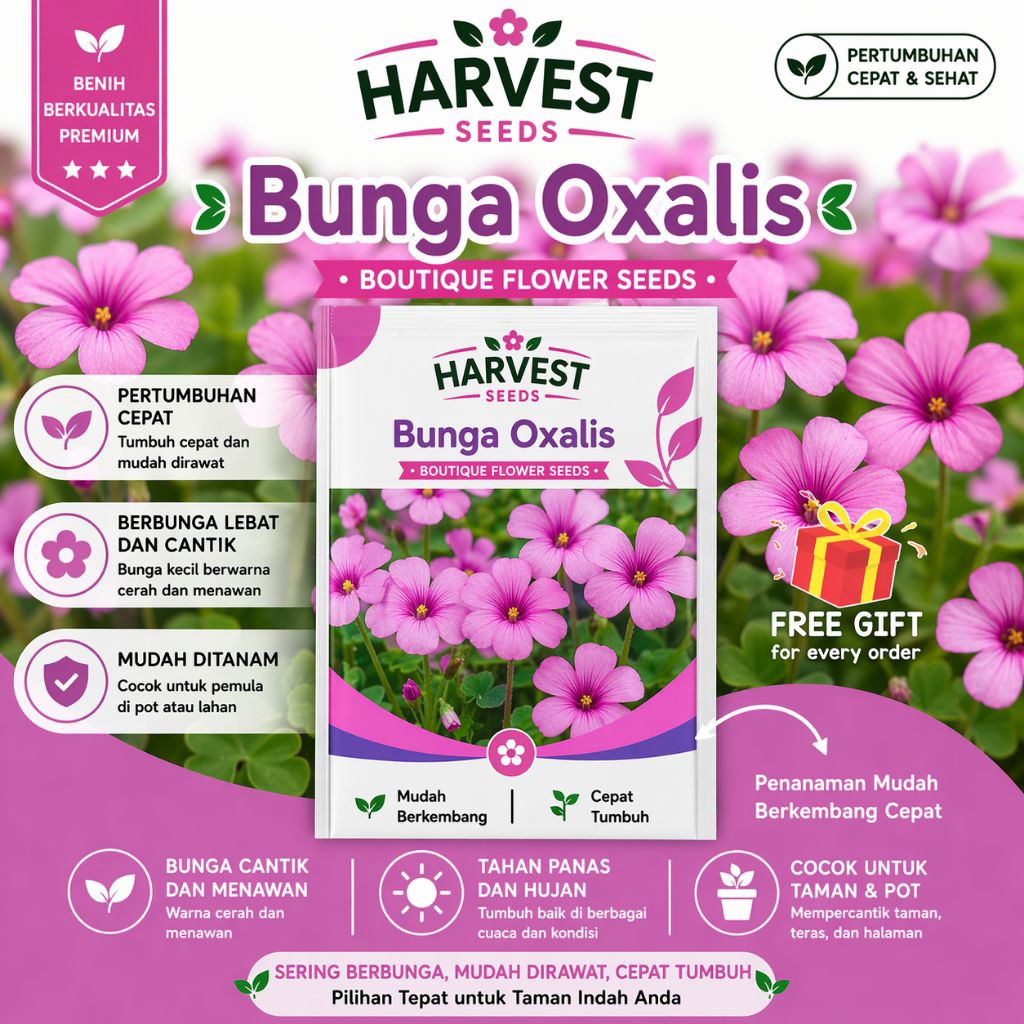 Benih Oxalis Premium Isi 10 Biji | Oxalis Seeds | Tanaman Hias Daun Unik Mudah Tumbuh