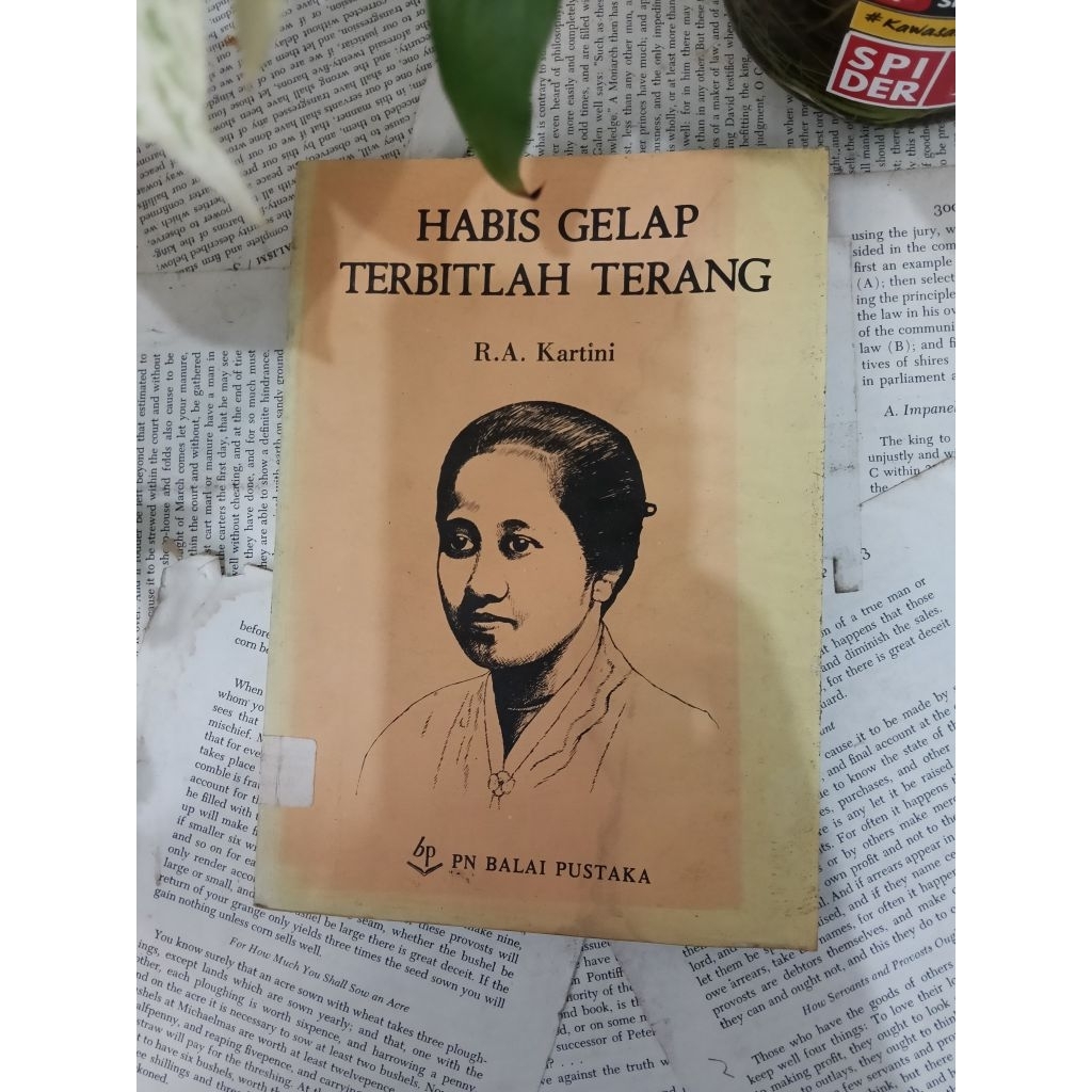 Kumpulan Buku Kartini