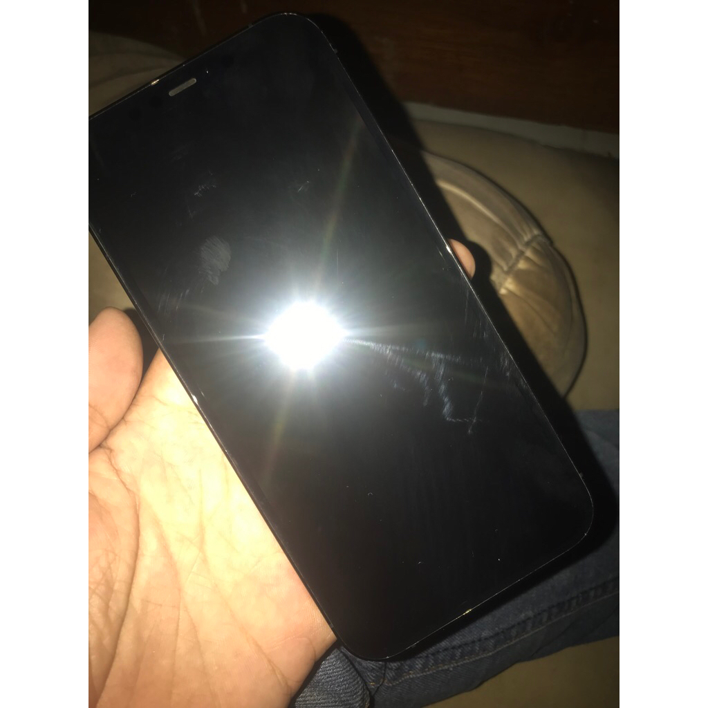 LCD iphone 12 Pro max / ProMax Original Copotan