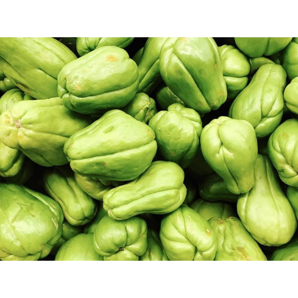 Buah labu siam jumbo 1 kg
