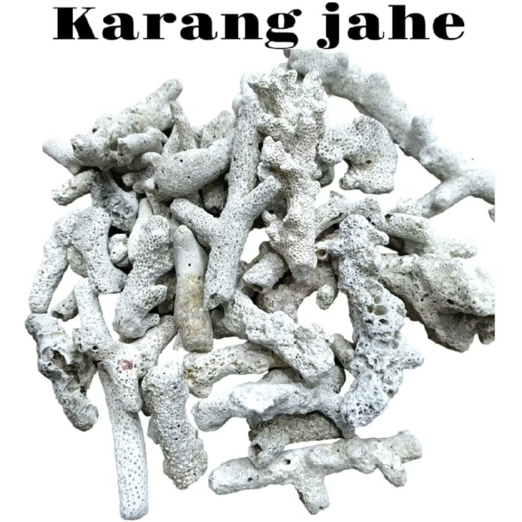 karang jahe plus waring 1kg/ karang jahe / karang jahe media filter / media filter aquarium / media 
