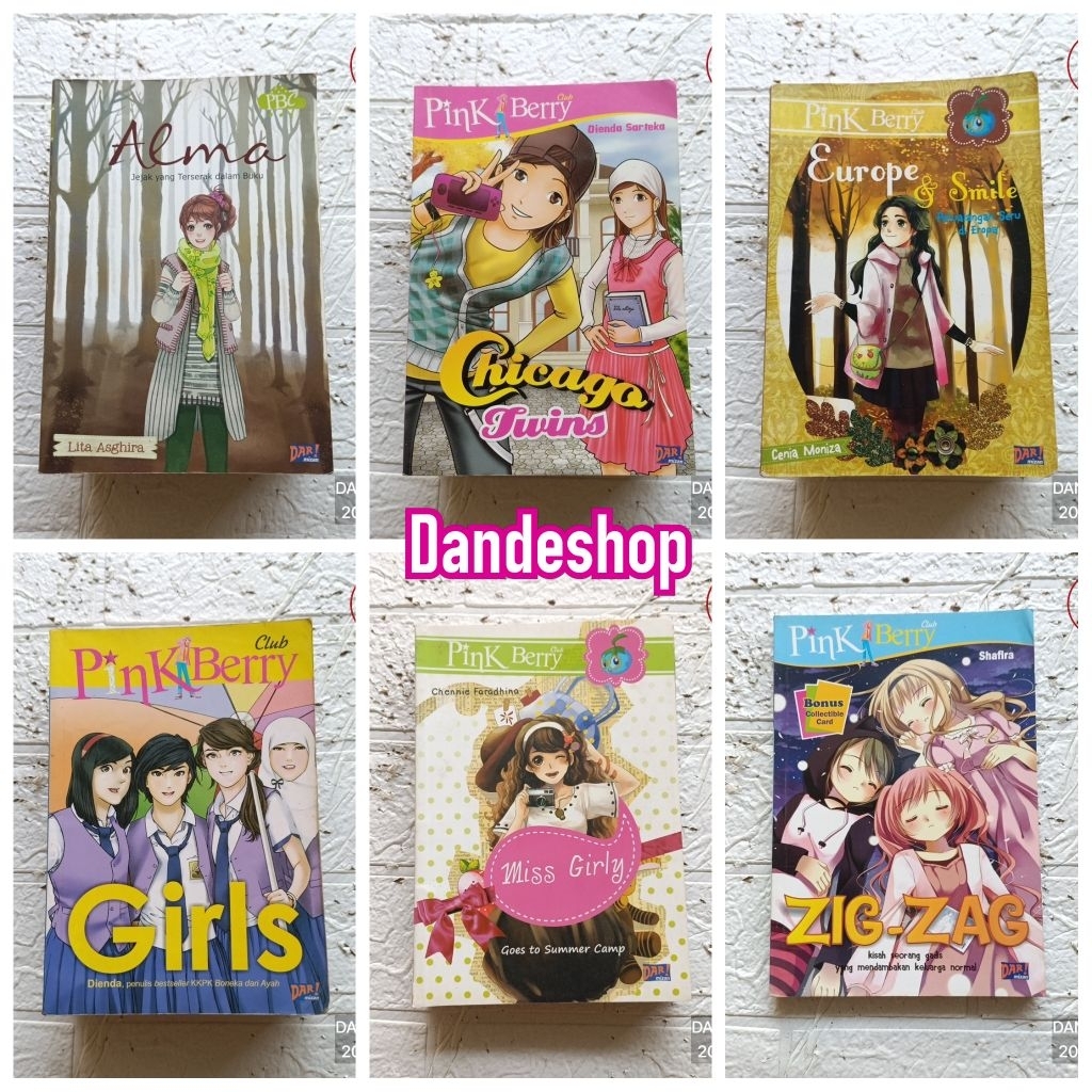 PINK BERRY CLUB PBC Novel Anak Bekas Preloved