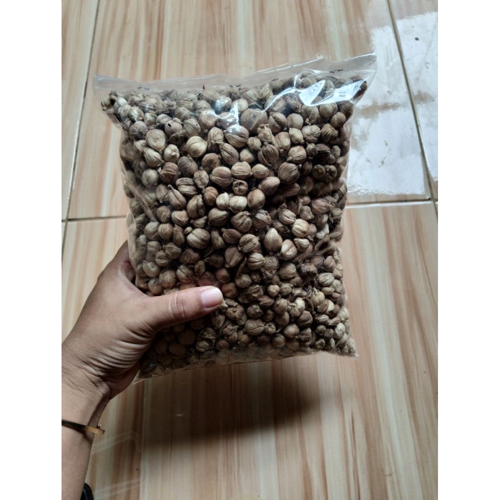 Kapulaga kering kapulaga organik kapulaga Jawa kapol 1kg