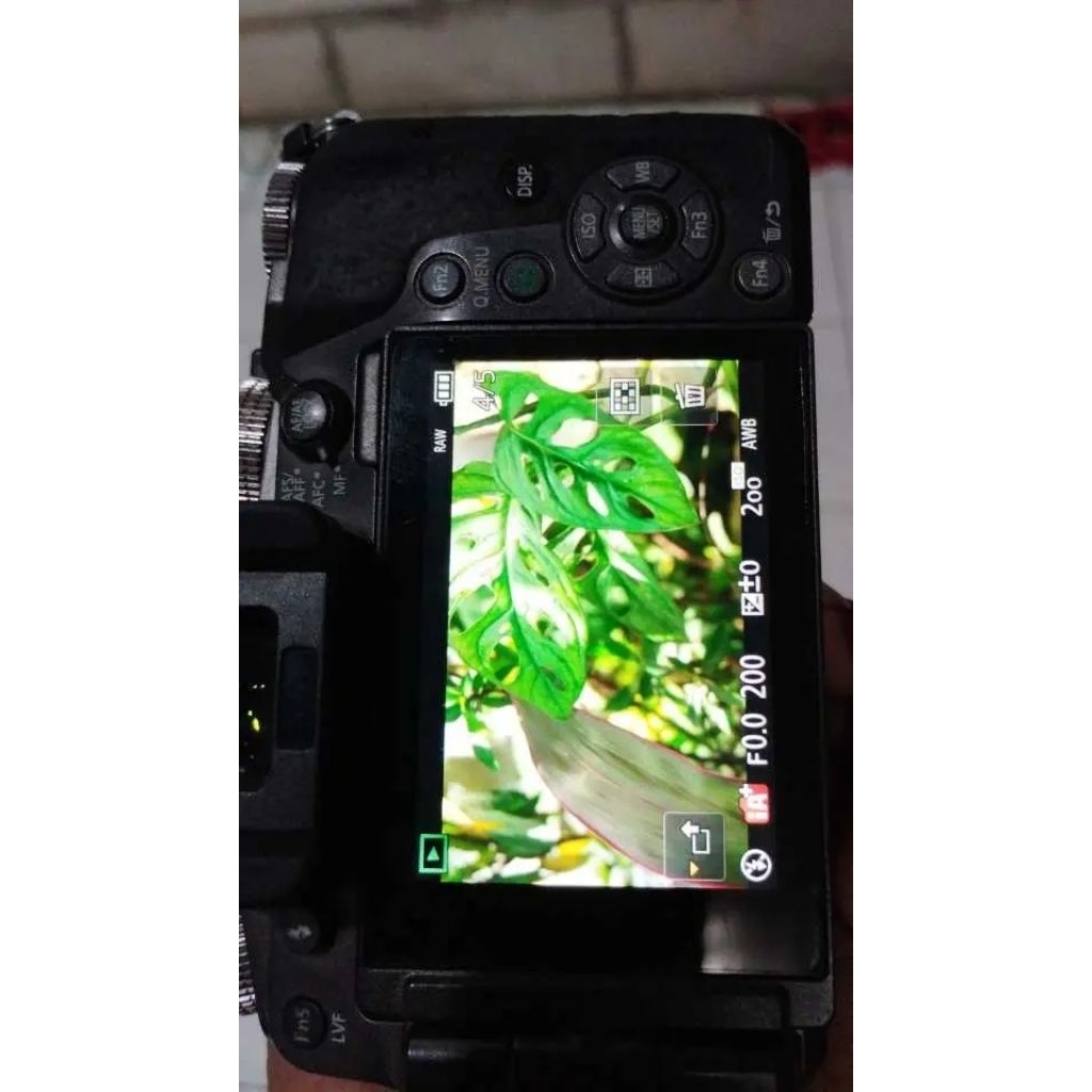 Lumix g7 Bo