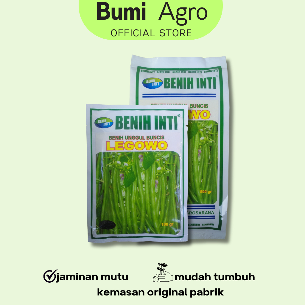 Benih Unggul Buncis 500 gr LEGOWO Asli cap Benih Inti Lebat & Tidak Mudah Patah