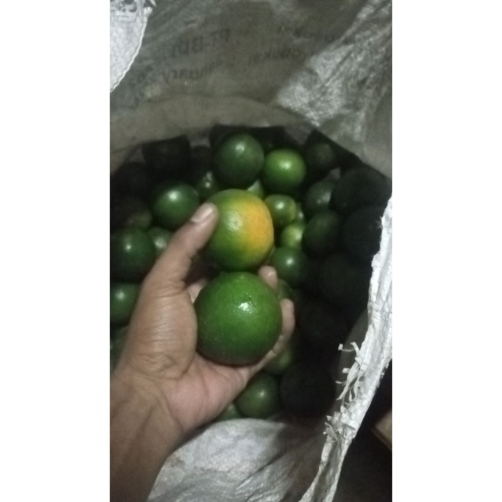 jeruk peras/ jeruk es