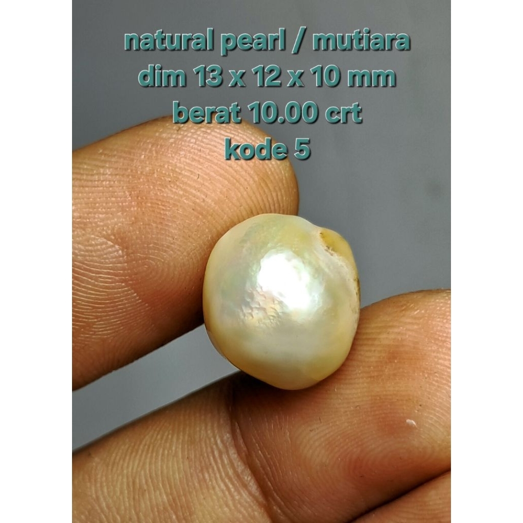 mutiara air laut asli lombok