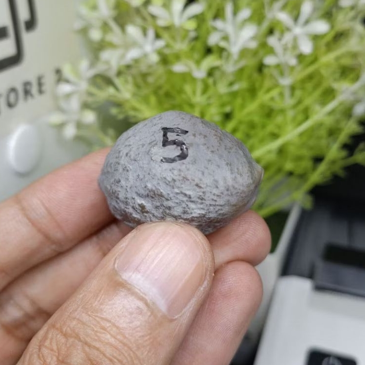 Muncang Adu Yanti Denpom JR kode 5