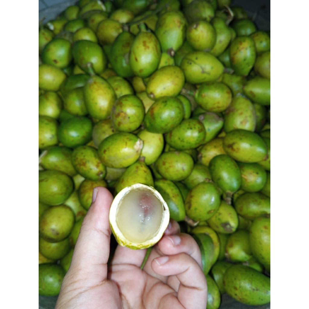BUAH MATOA 1kg