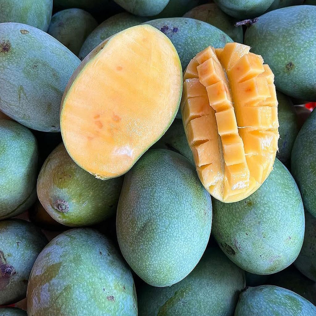 Mangga Manalagi madu 1 kg