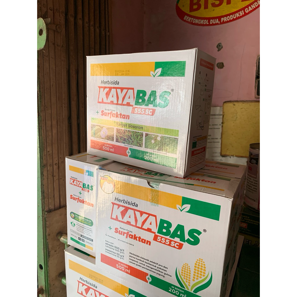 kayabas