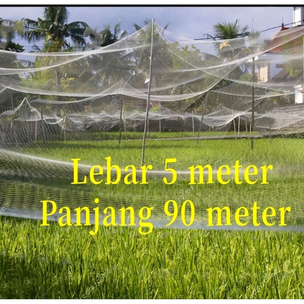 bonus tali 100 meter jaring burung jaring sawah jaring padi jaring burung emprit