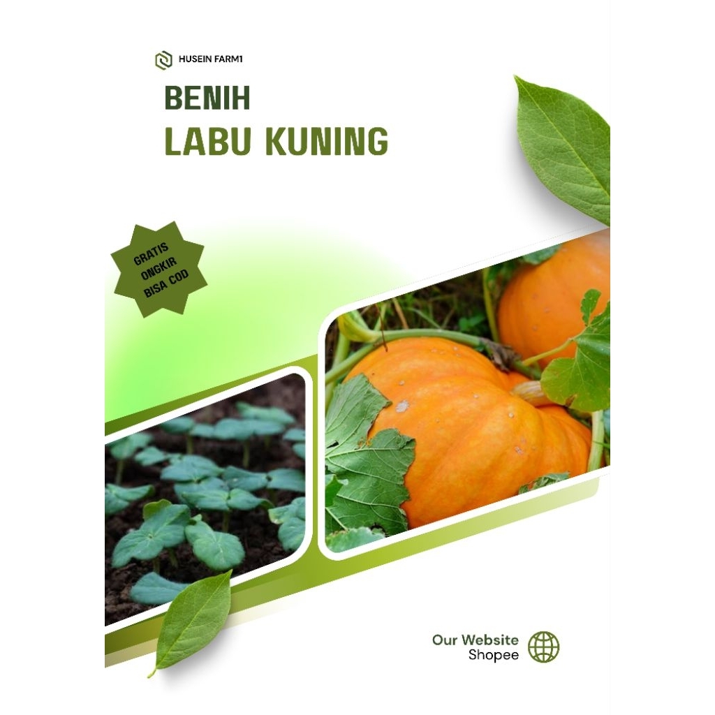 Benih Unggul (1 botol) Labu Kuning