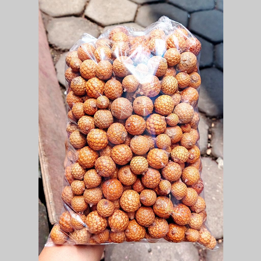 biji rotan berkualitas biji rotan bulat kering buah rotan coklat kerajinan biji rotan
