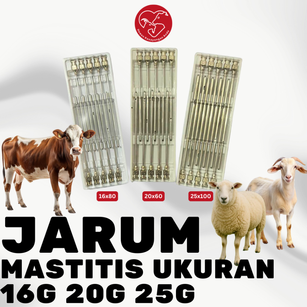 10 pcs Jarum Suntik Tumpul Reusable untuk Pengobatan Suntik Mastitis Domba Kambing dll
