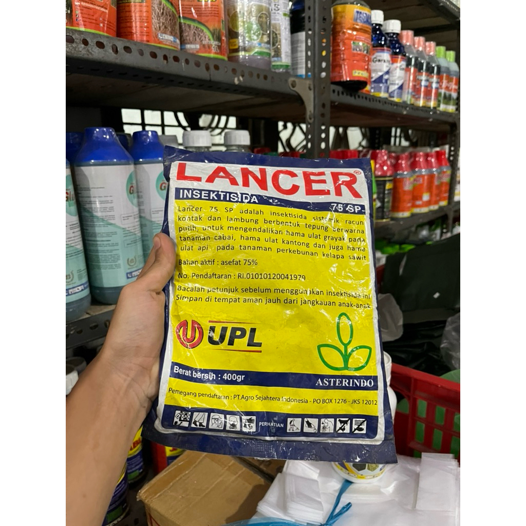 Insektisida Lancer 75sp asefat 75% untuk mengendalikan hama ulat pada tanaman cabai