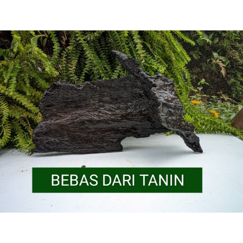 Kayu rentek aquascape full tenggelam