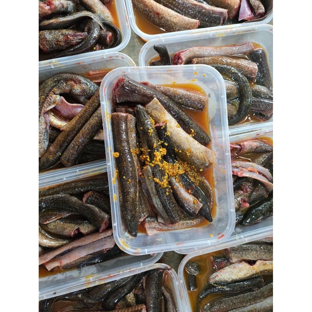 Belut Marinasi (FROZEN) berat -+300gr