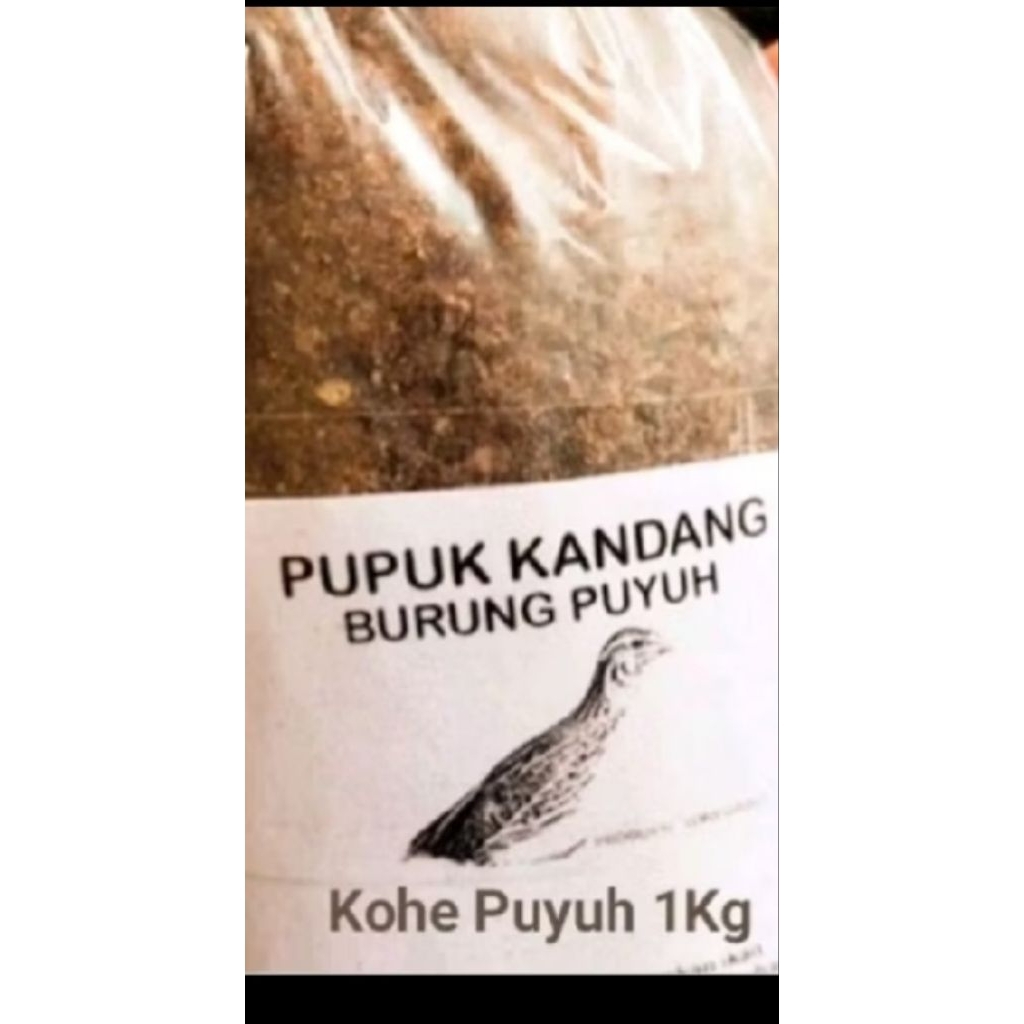 kohe puyuh 1kg