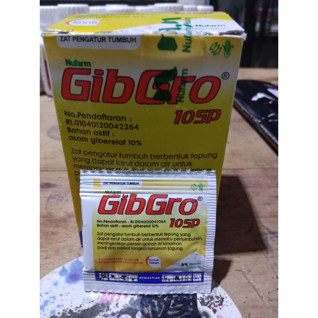 ZPT GIBRO PERTUMBUHAN