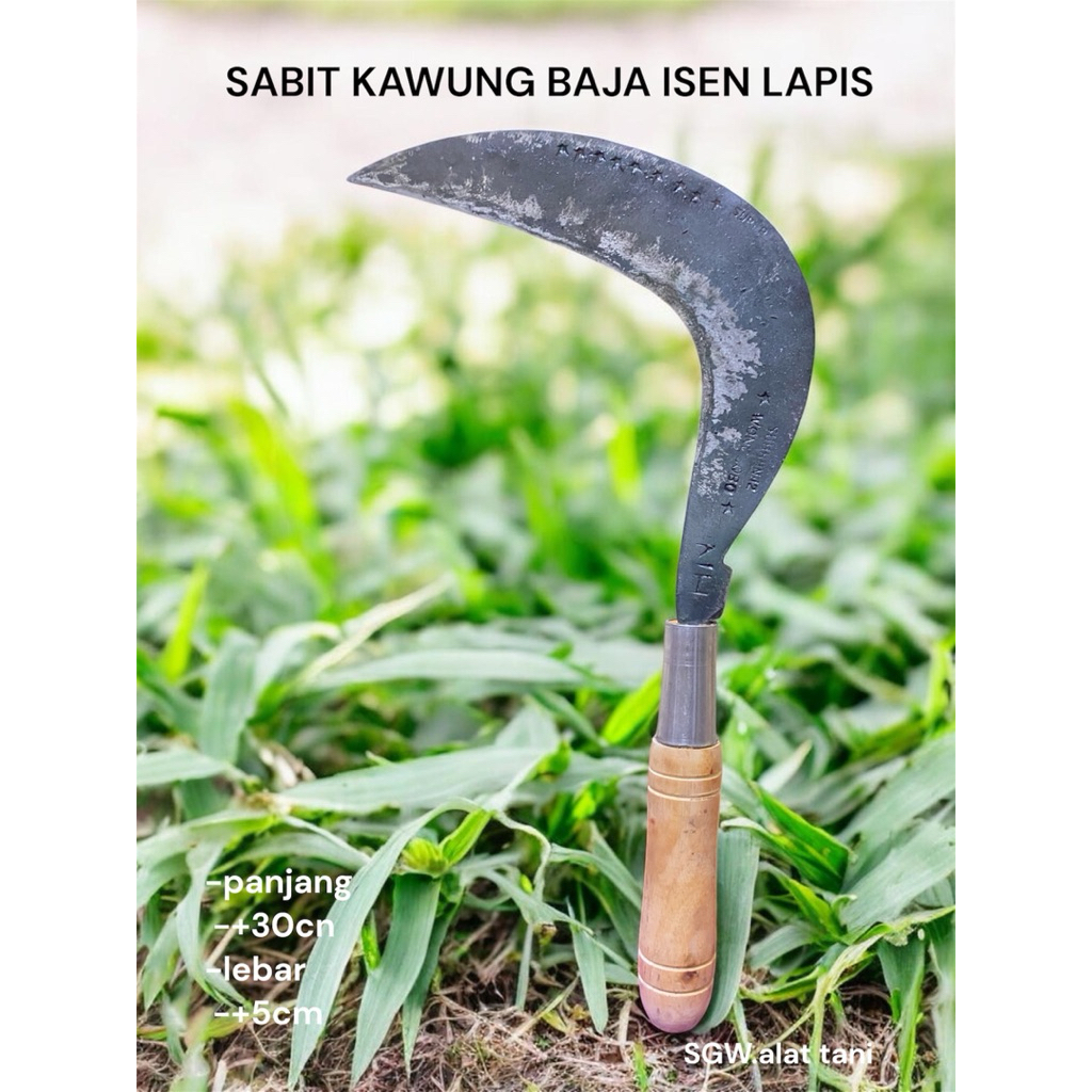 ARIT RUMPUT PADI ISEN SUPER WONOSOBO