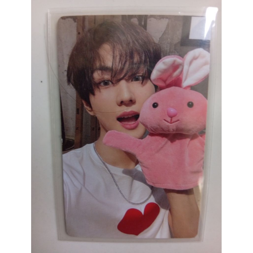 pc jungwon enhypen boneka