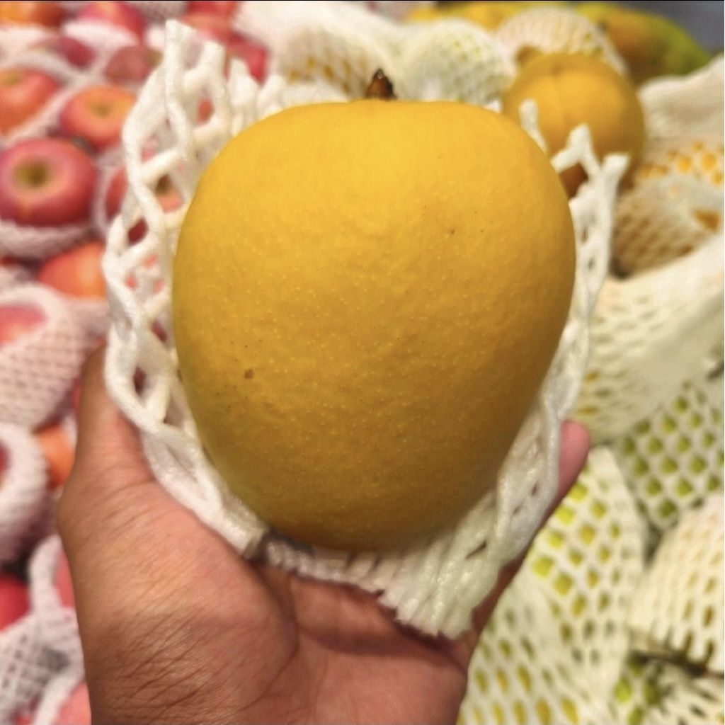 Mangga gedong gincu madu mangga super manis juicy 1 kg