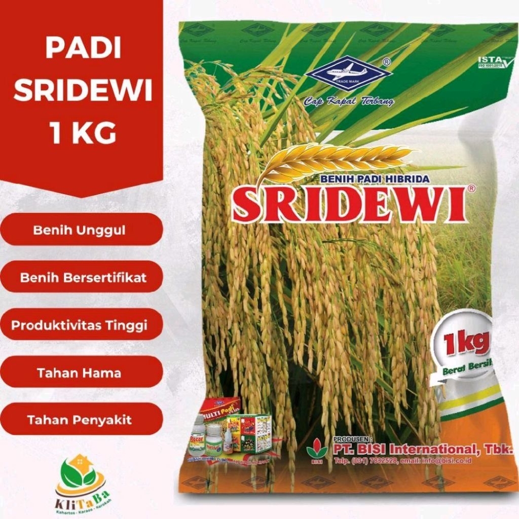 (1KG)BENIH BIBIT PADI HIBRIDA SRIDEWI BERKUALITAS UNGGUL