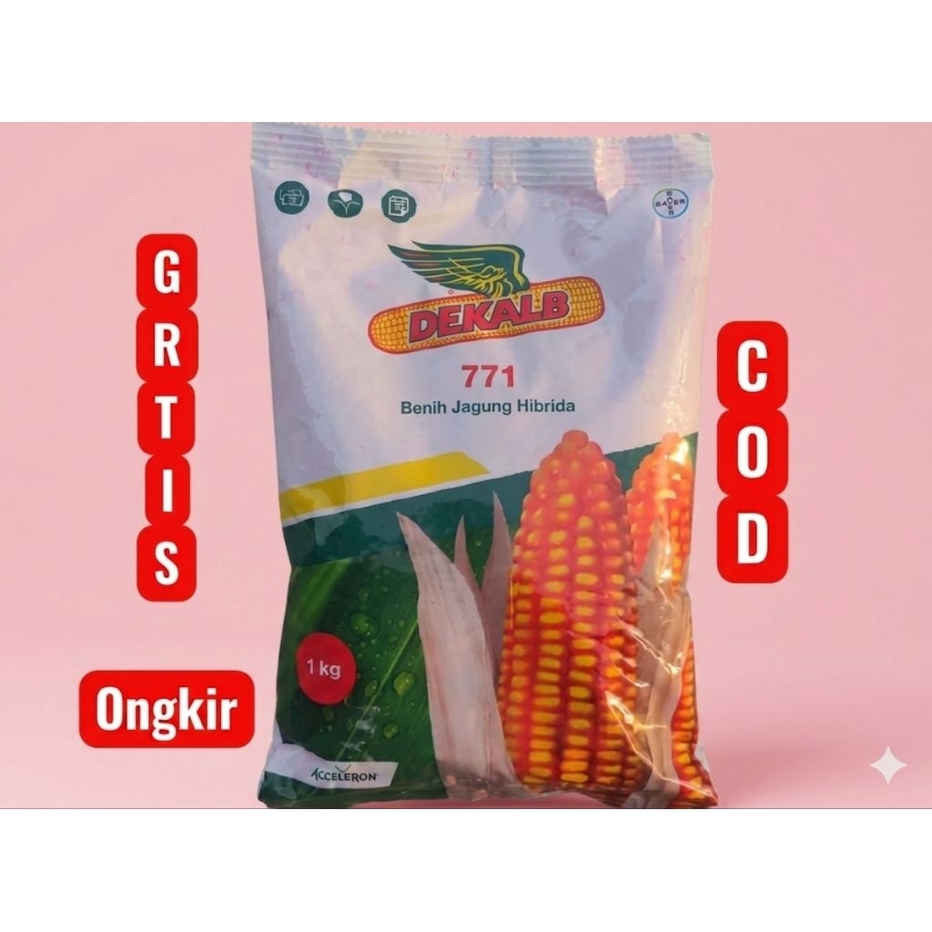 Benih Jagung Hibrida DEKALB 771 (DK771) - Super Tangguh & Hasil Melimpah kemasan 1 kg Original