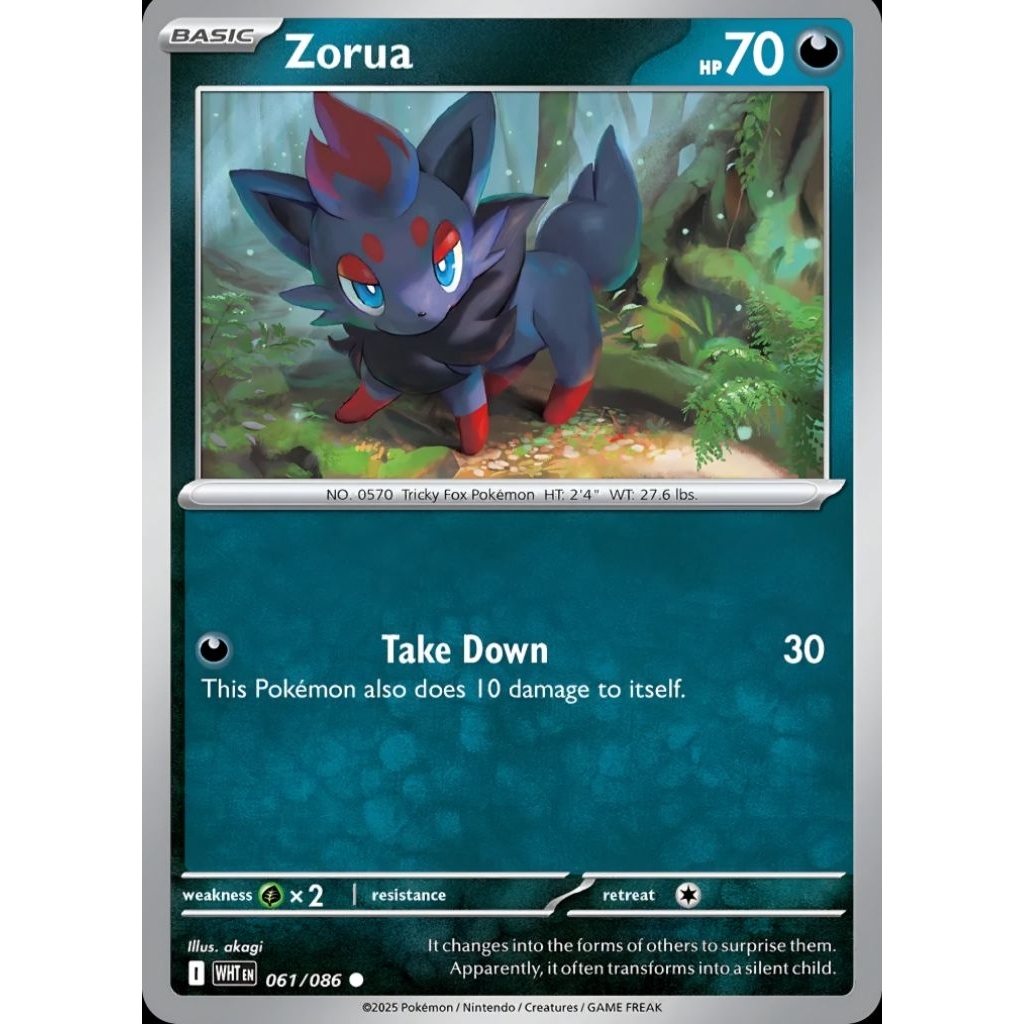 Tcg Pokemon Zorua WHT