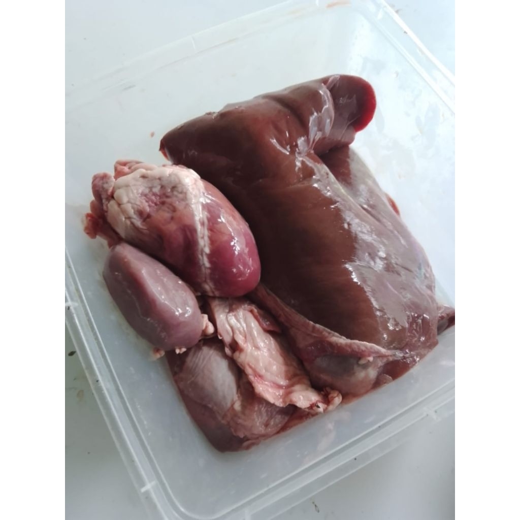 ati jantung ginjal kambing mix fresh