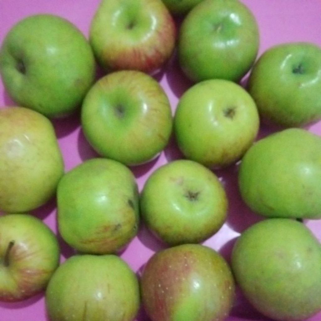 Apel Rome Beauty / Bakers Buddy / Malang segar
