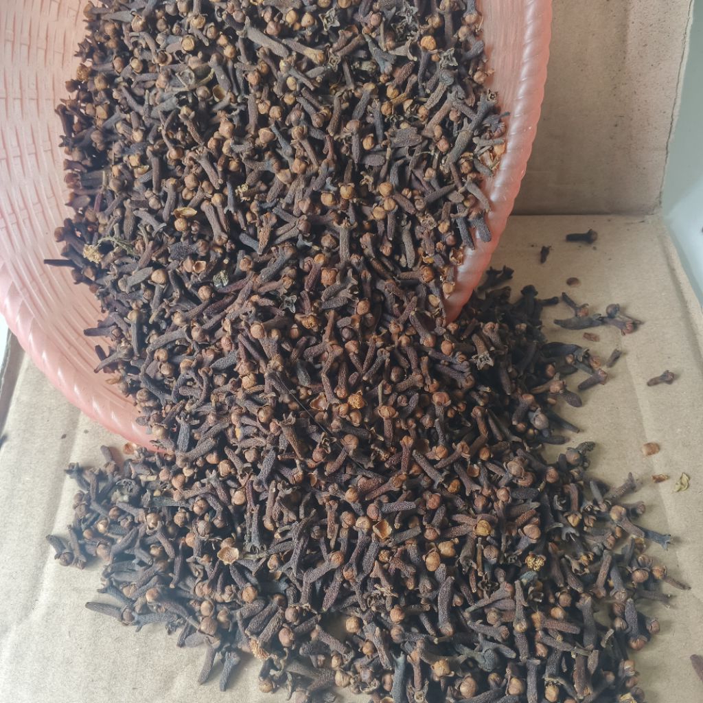 Rempah rempah cengkeh kering (asli jemur) kualitas terbaik/cengkeh herbal alami/cengkeh bumbu dapur