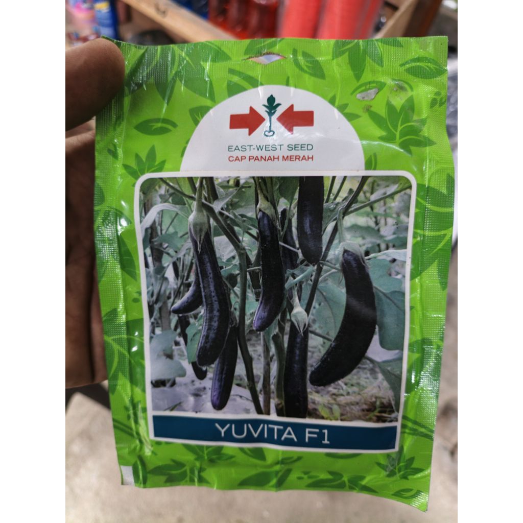 Benih terong ungu Yuvita F1 kemasan repack