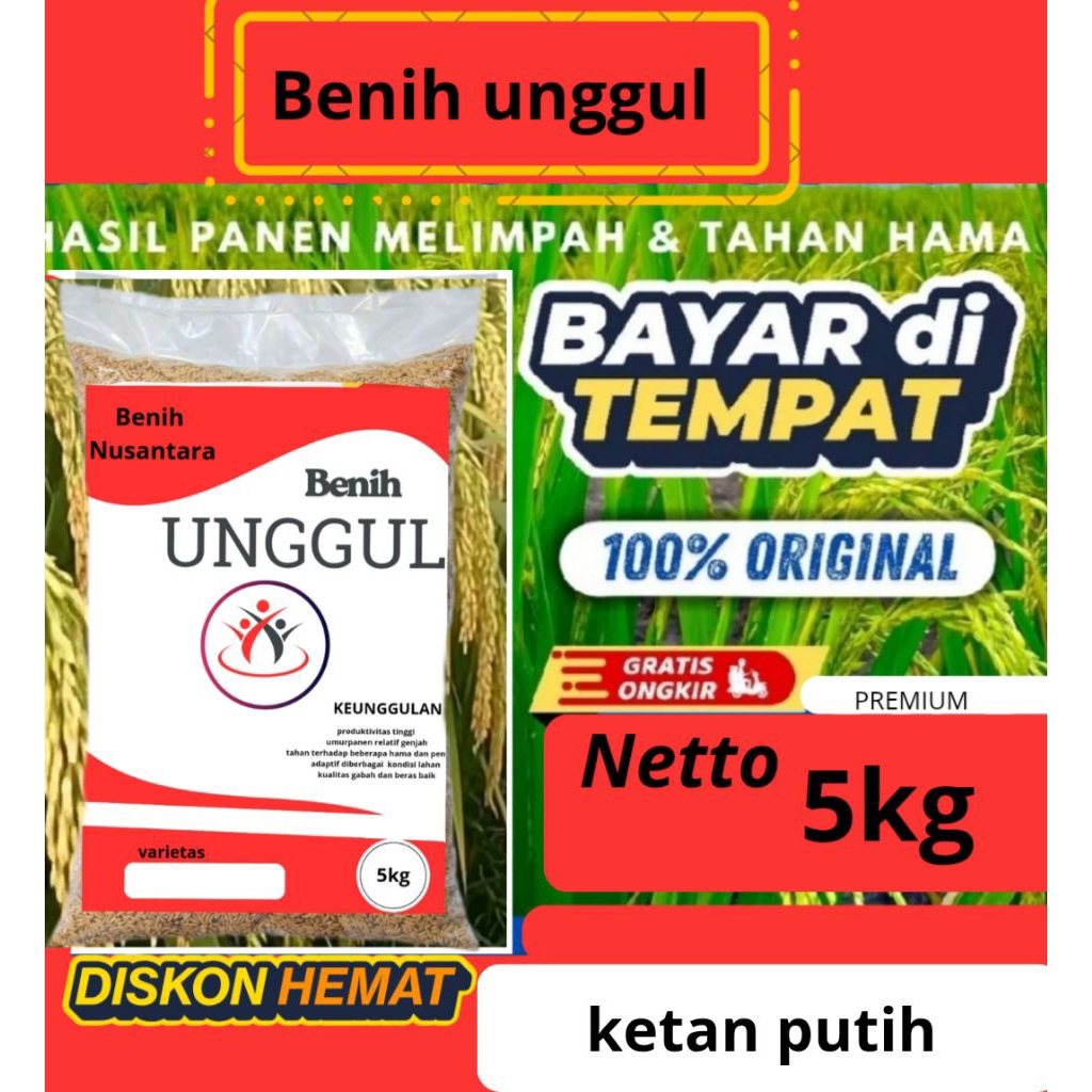 benih padi unggul ketan putih kemasan 5kg.