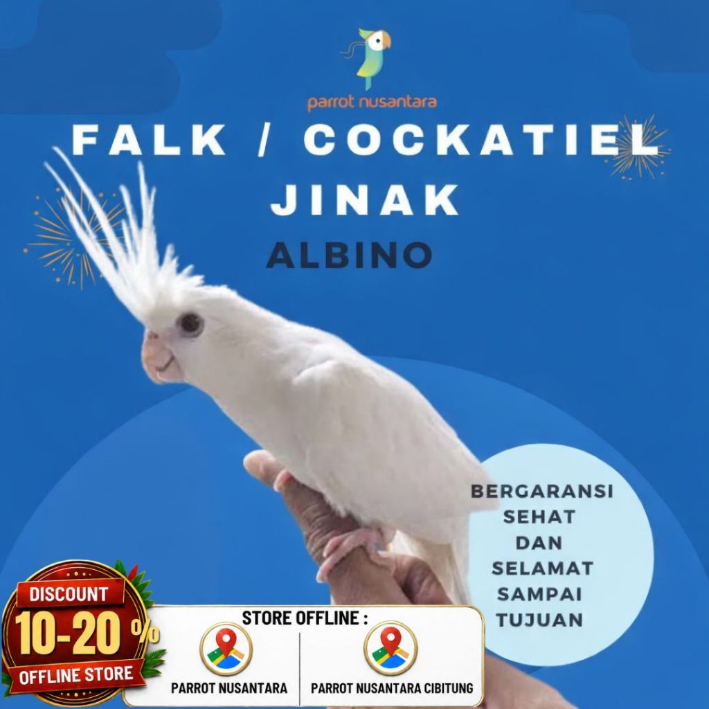 PARKIT AUSTRALIA/FALK COCKTAEIL ALBINO JINAK DAN MURAH