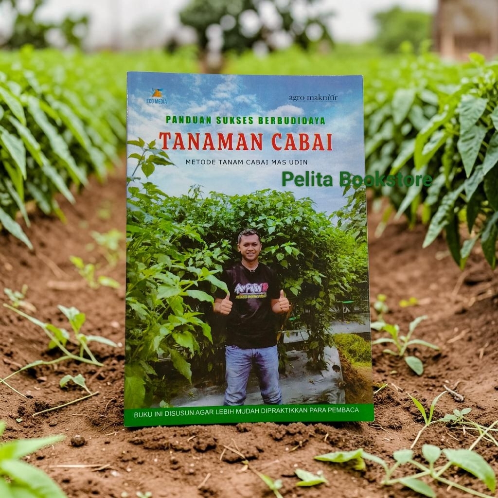 Buku Panduan Sukses Berbudidaya Tanaman Cabai, Metode Tanaman Cabai Mas Udin