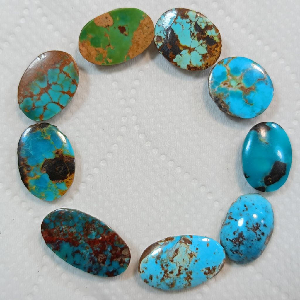 NATURAL PIRUS PERSIA MINION(A9)