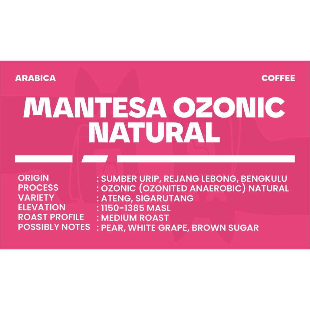 Arabica Ozonic Natural (Mantesa)