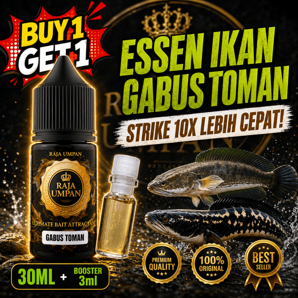 Essen Ikan Gabus Toman Indukan Liar dan Betok Paling Gacor Umpan Pancing Super Ampuh Amis Kuat