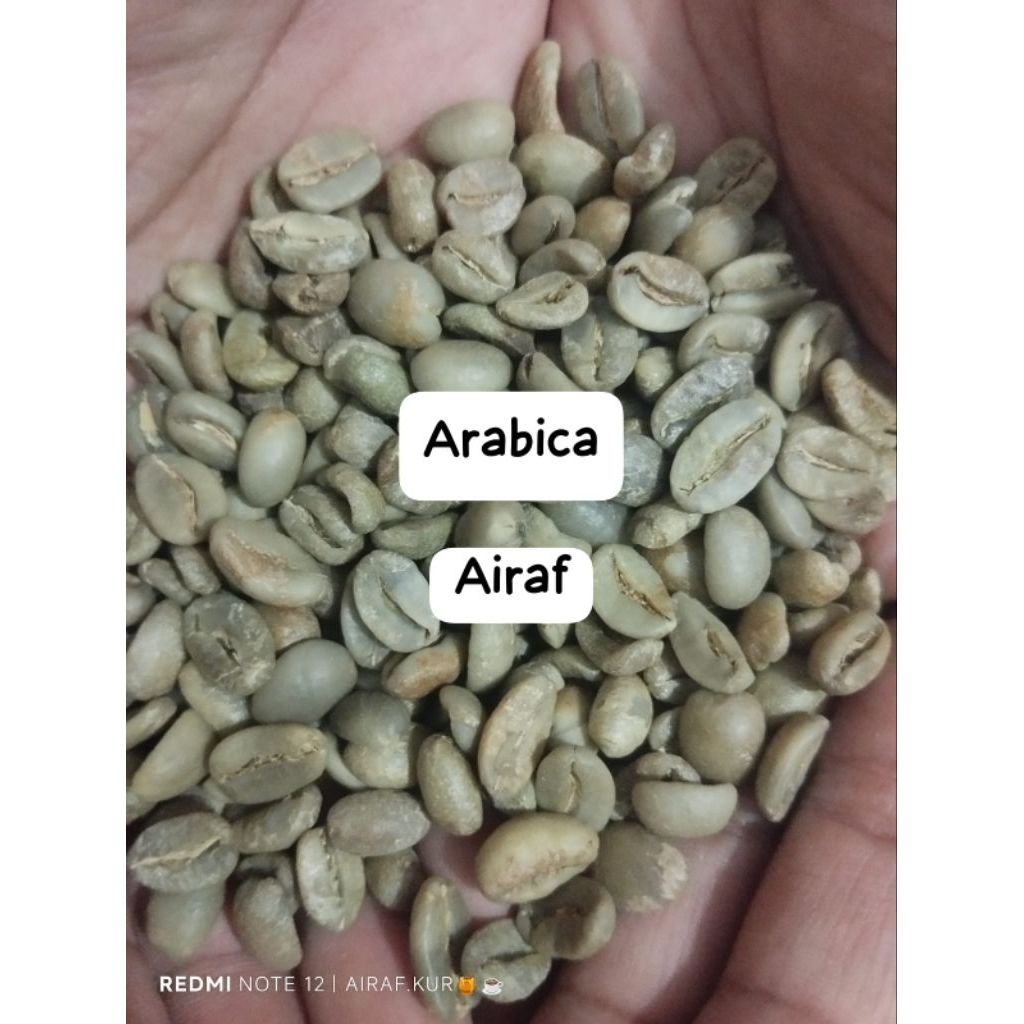 Green Bean Arabica Kendal-Temanggung