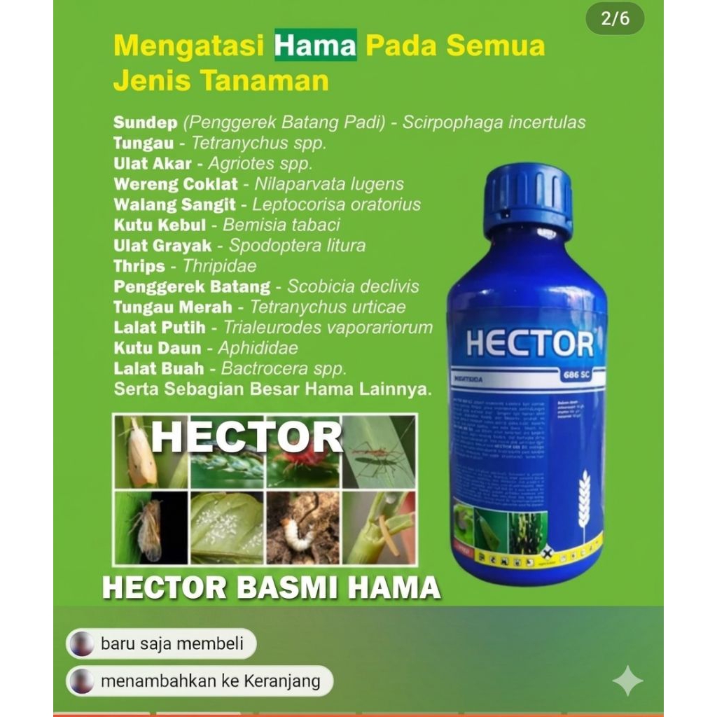 INSEKTISIDA HECTOR 686SC 1Ltr bahan aktif abamectin asefat metomil ampuh basmi hama