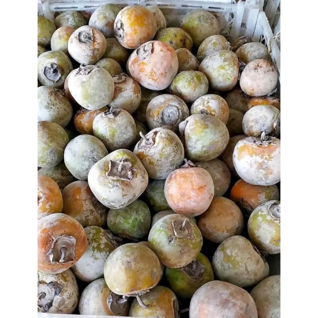 buah kesemek Buah Genit 1 kg