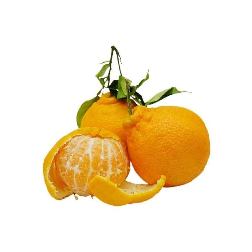 jeruk chunjian 1kg manis fresh chunjian orange mandarin