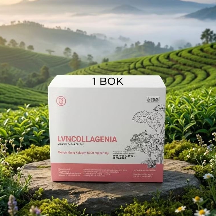 LVN Collagen 1 Box Rasa Strawberry Original