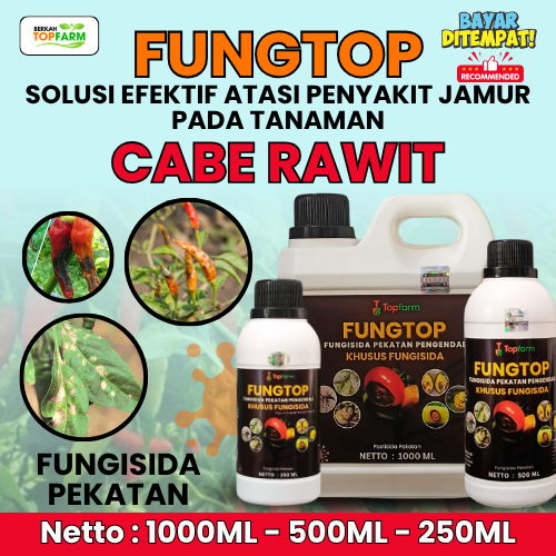Pestisida Jamur Cabe Rawit / Obat Jamur Tanaman Cabe Rawit / Obat Pengendali Jamur Pada Cabai Rawit 