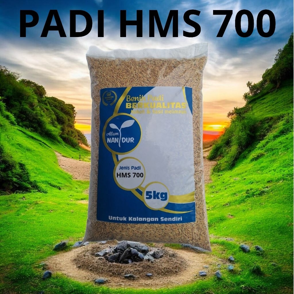 BIBIT | BENIH PADI HMS 700 KEMASAN 5KG