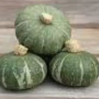 5 BIJI BENIH KABOCHA HIJAU