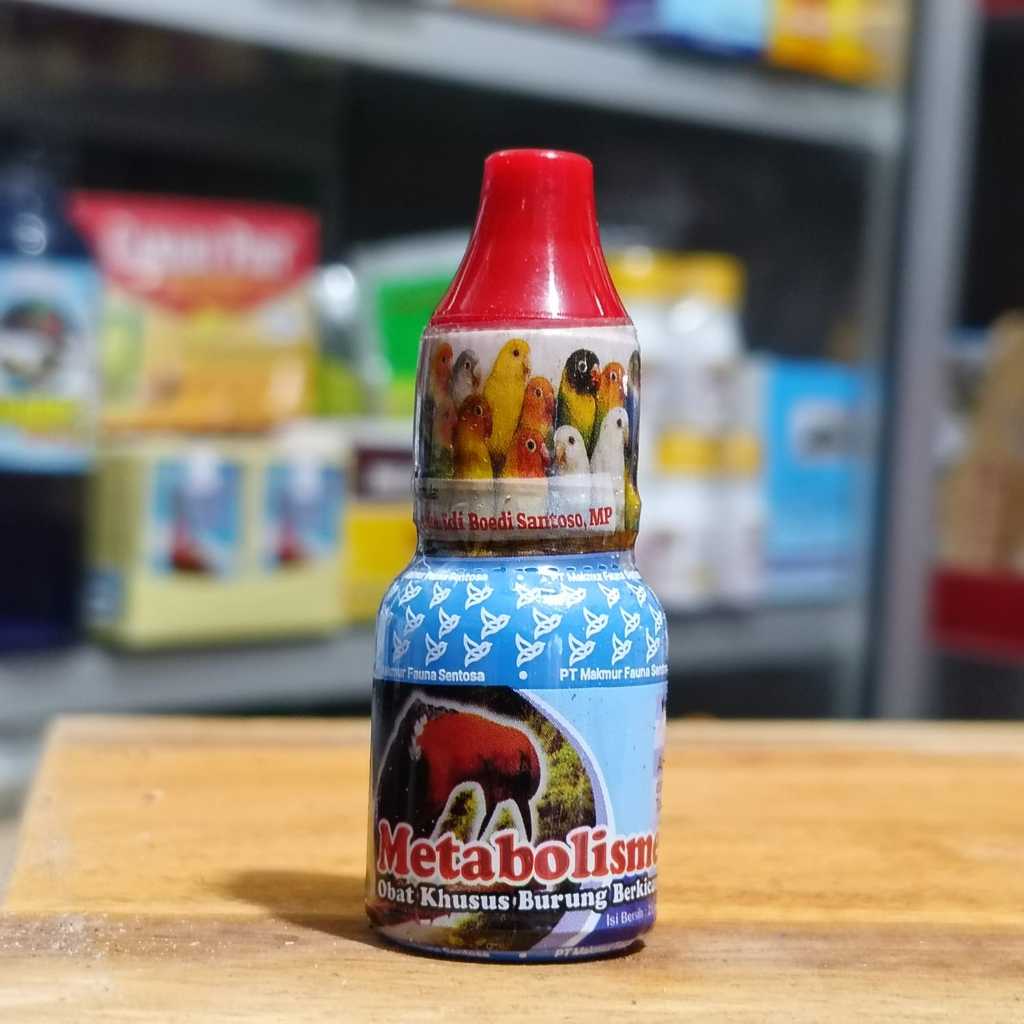 Metabolis vitamin metabolisme burung pleci kenari love bird sogok ontong murai macet bunyi