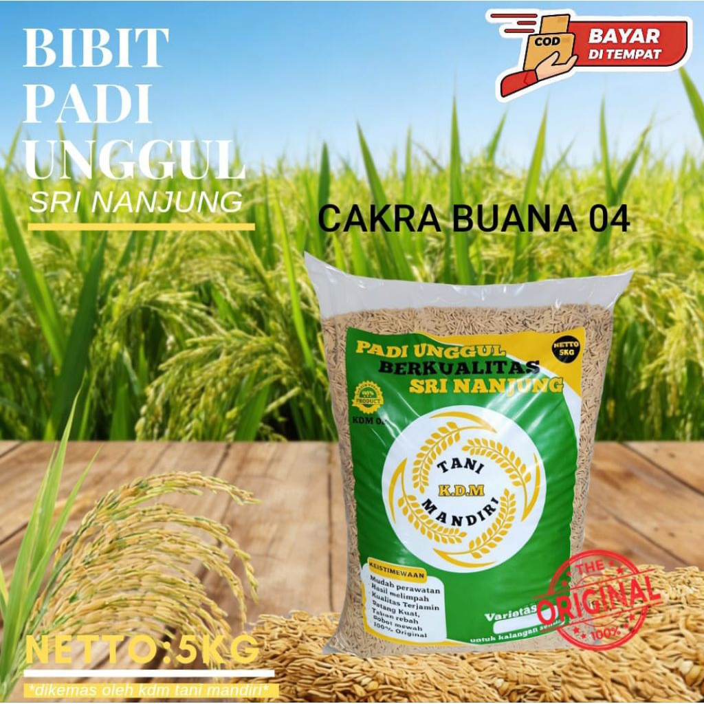 Benih Padi cakrabuana 04/ CB 04/5kg